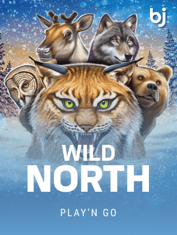 Wild North screenshot